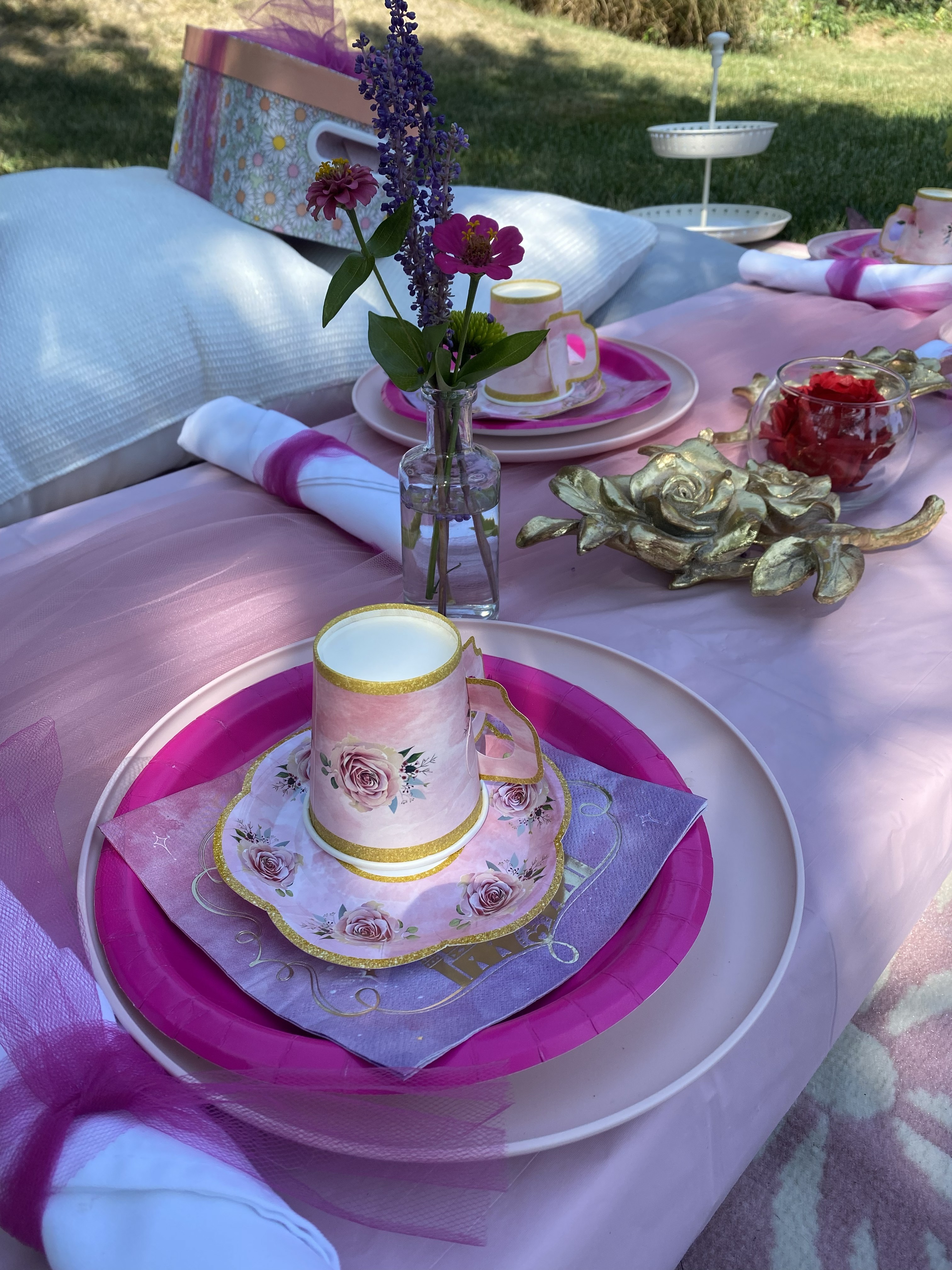 Outdoor Picnic Aesthetic