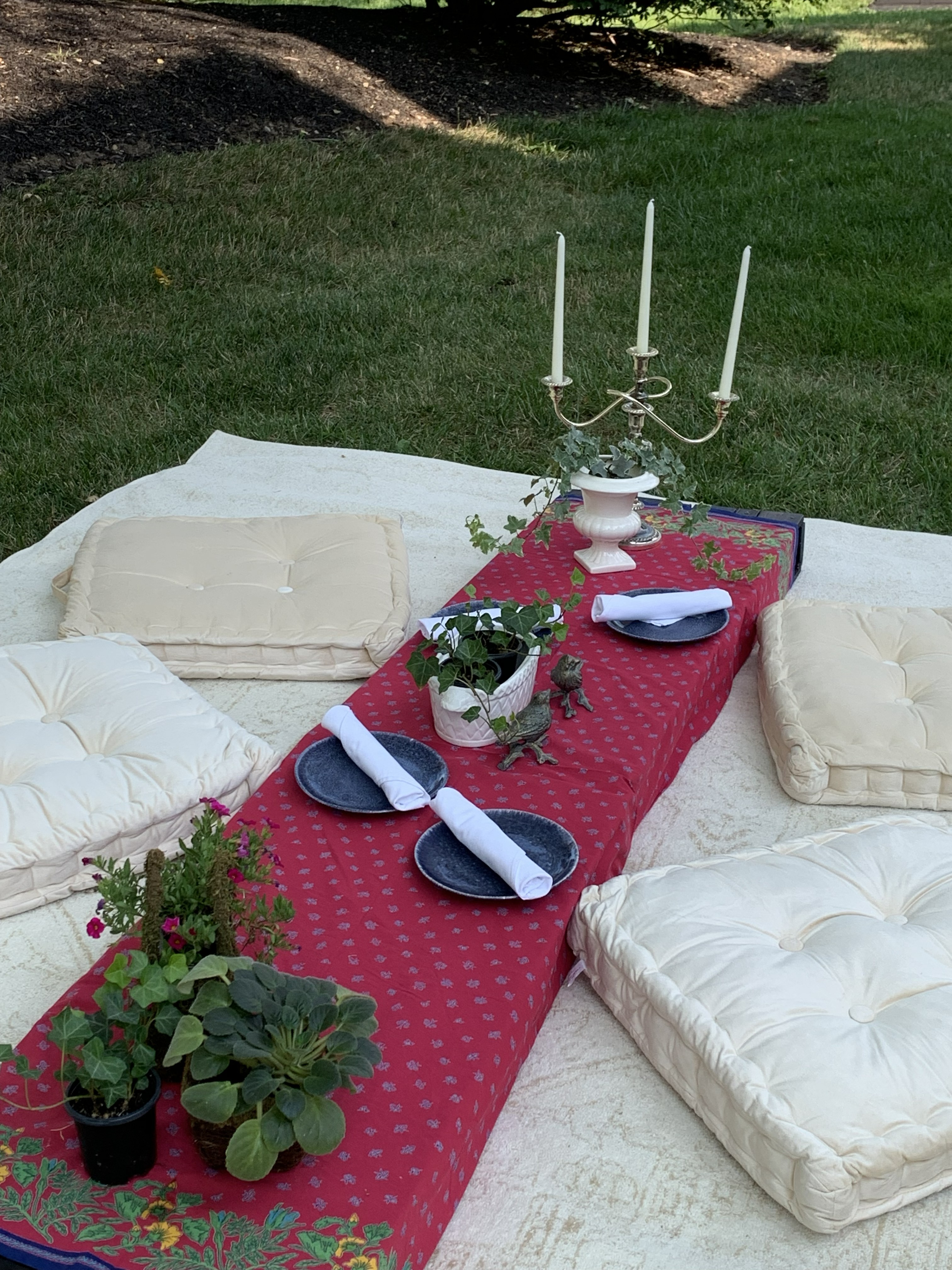 Picnic Place Setting