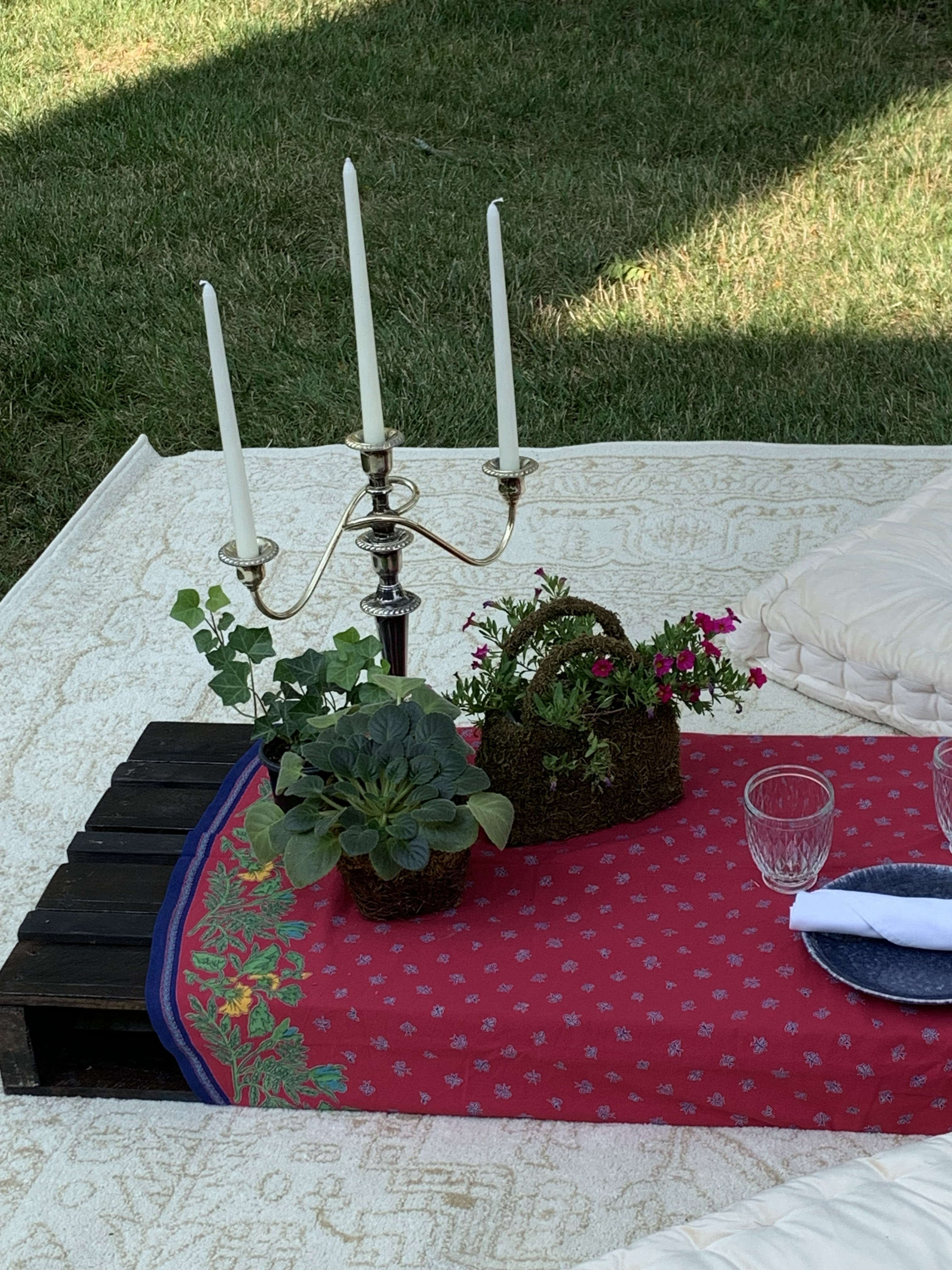 Picnic Place Setting