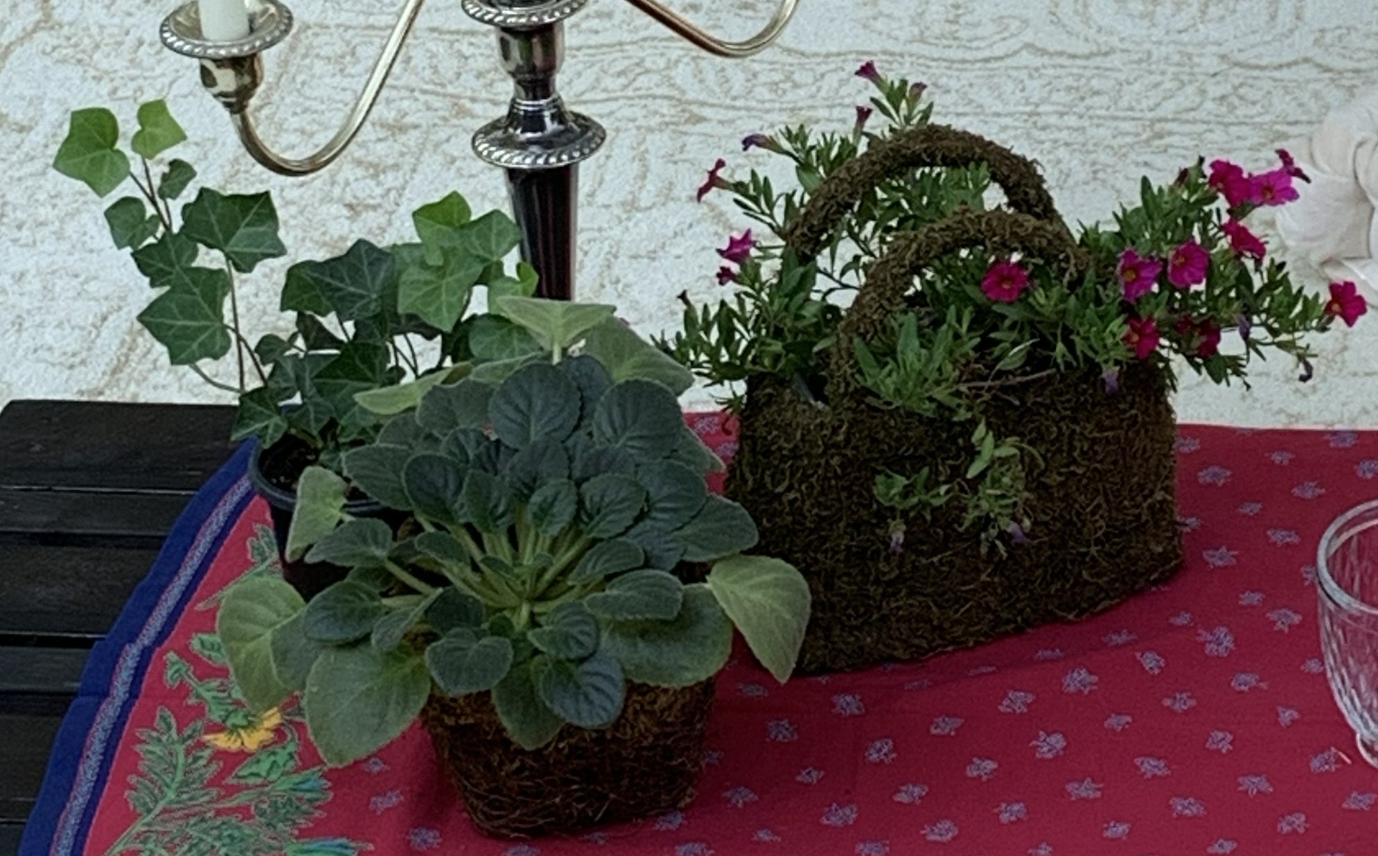 Picnic Place Setting