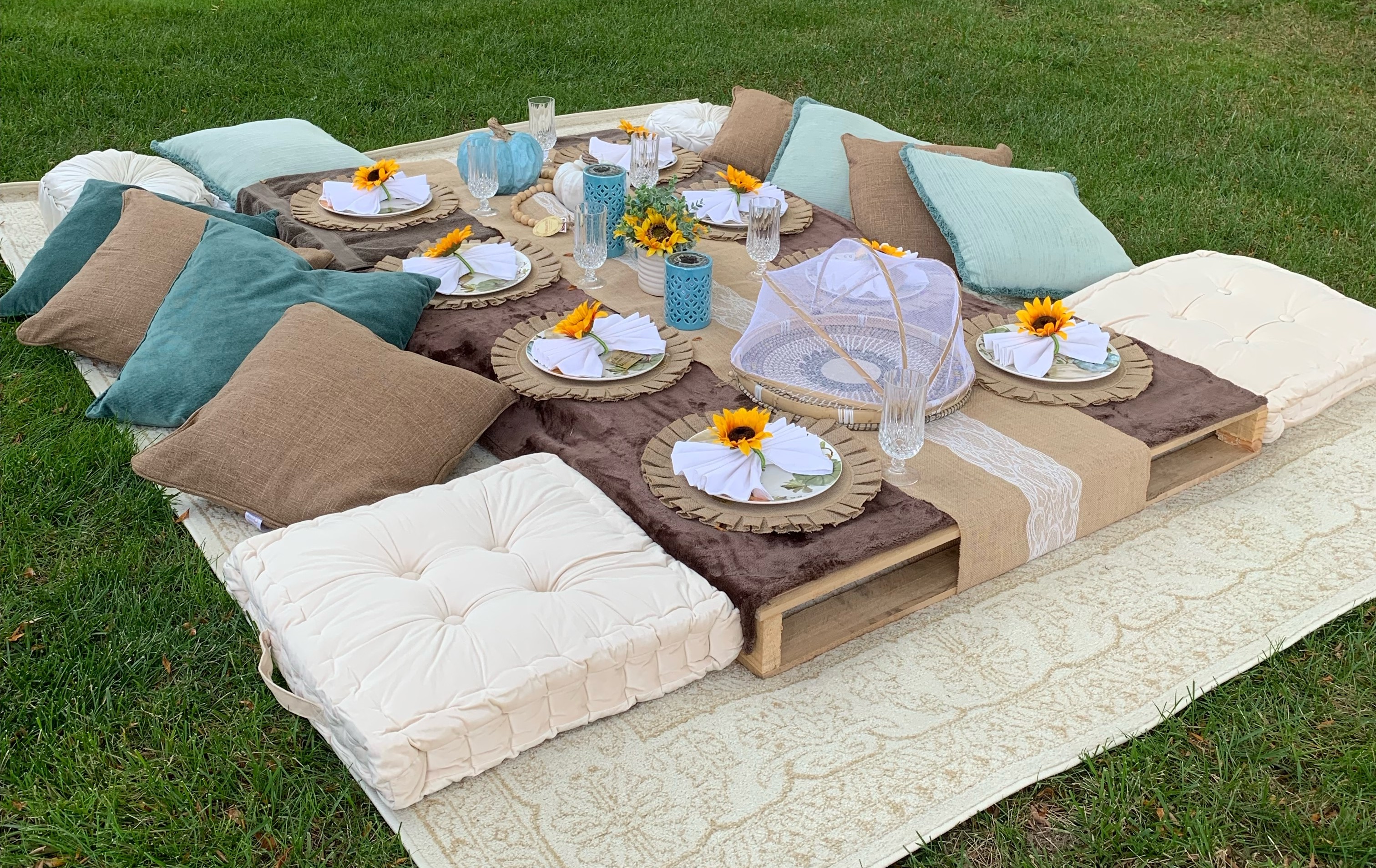 Friends Picnic Setup